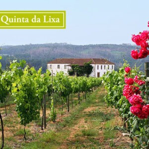 Vinho Verde - Quinta da Lixa